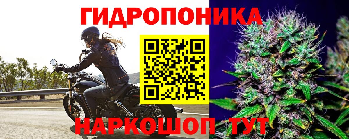 Бошки Шишки AK-47  Бошки марихуана гибрид  Кувандык  Шишки марихуана планчик  Вход с VPN  Каннабис Ganja 